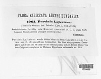 Puccinia lojkaiana image